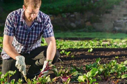 Gardener wearing PPE and performing safe shrub trimming