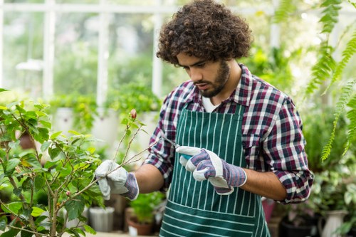 Gardener reviewing a small urban garden bed
