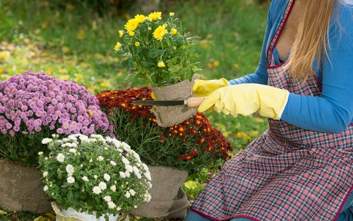 Close-up of a garden maintenance task with tools