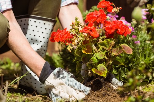 Mulched garden beds and segregated recycling containers at the site