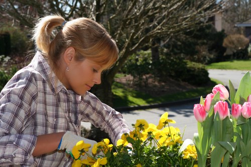 Safe storage of garden chemicals and labelled containers